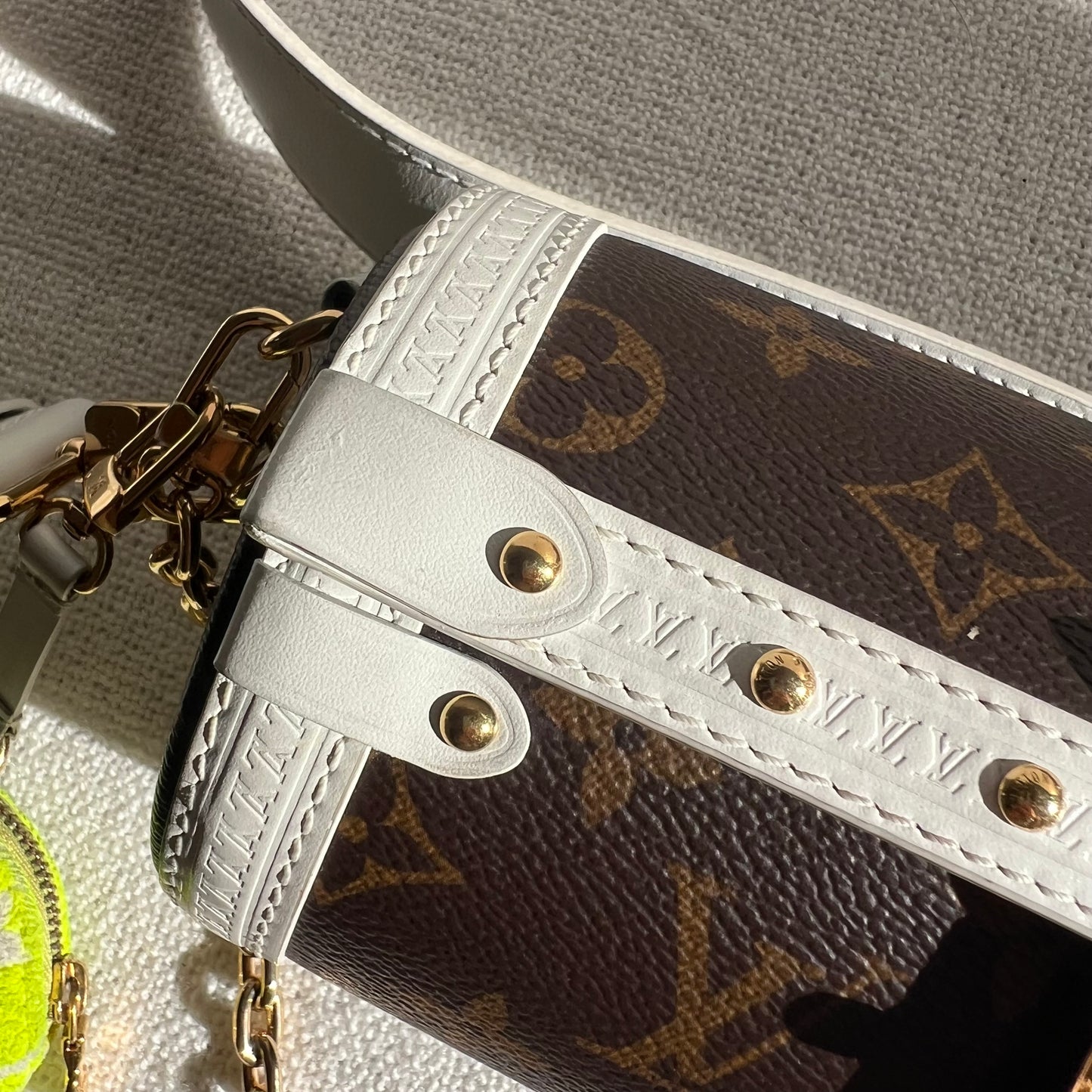 LOUIS VUITTON Papillon Trunk Bag